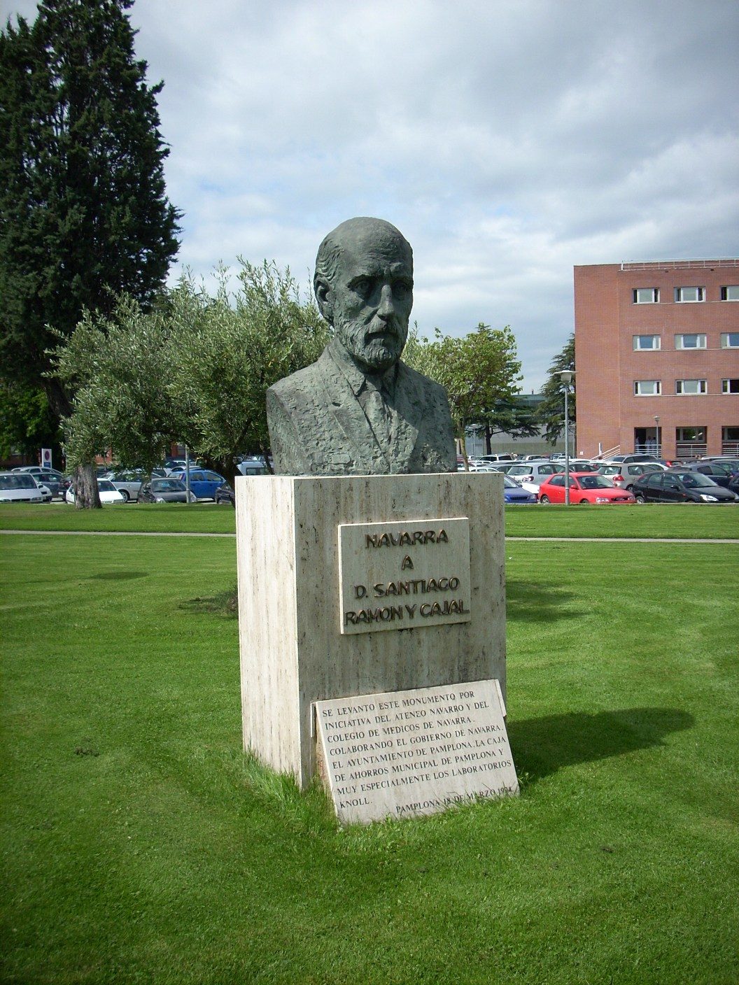 Santiago Ramon Y Cajal Bust